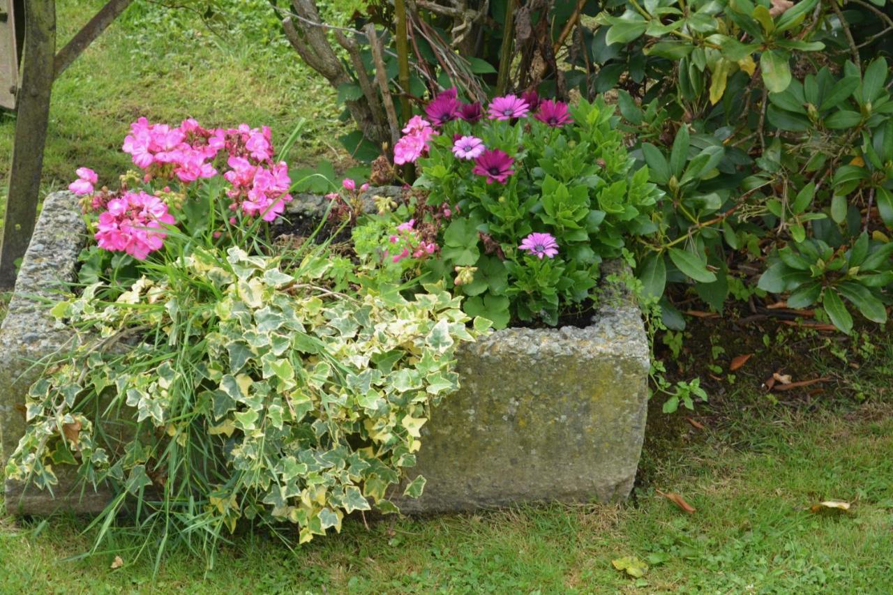 La Ferme Remue Bed & Breakfast Rixensart Bagian luar foto